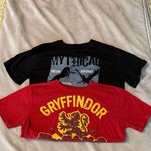 Set of 2 Harry Potter T shirts: Gryffindor & Mythical Creatures Kids 14-16